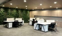 Cogent 1.logistics Hub (D22), Office #539067161